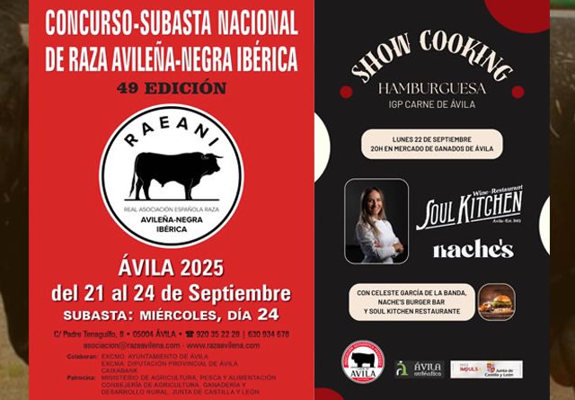 Lista la 49 Feria de la Raza Avileña – Negra Ibérica en Ávila: fechas, programa y subasta.