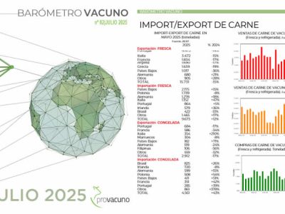 PROVACUNO publica el Barómetro Vacuno para Julio 2025