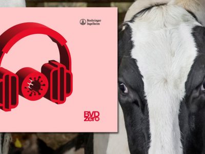 Últimos días para presentar candidaturas a los Premios BVDZero de Boehringer Ingelheim Animal Health España