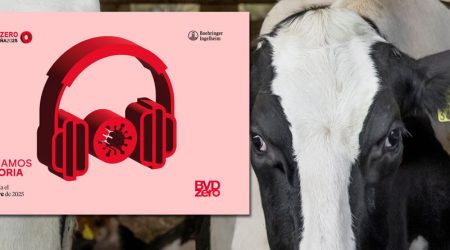 Últimos días para presentar candidaturas a los Premios BVDZero de Boehringer Ingelheim Animal Health España