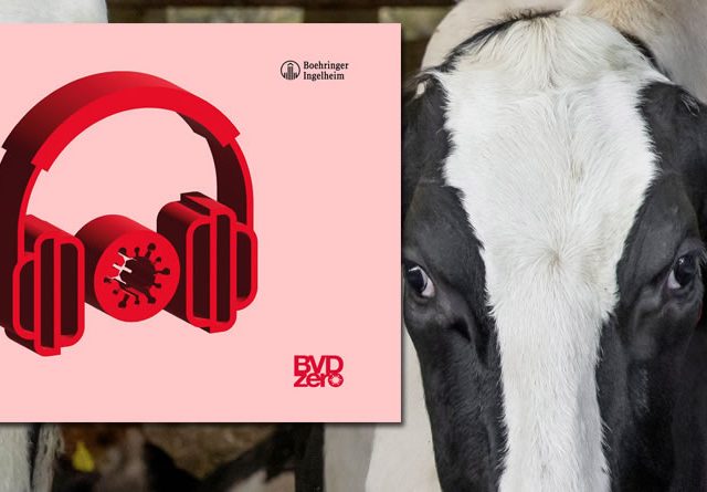 Últimos días para presentar candidaturas a los Premios BVDZero de Boehringer Ingelheim Animal Health España