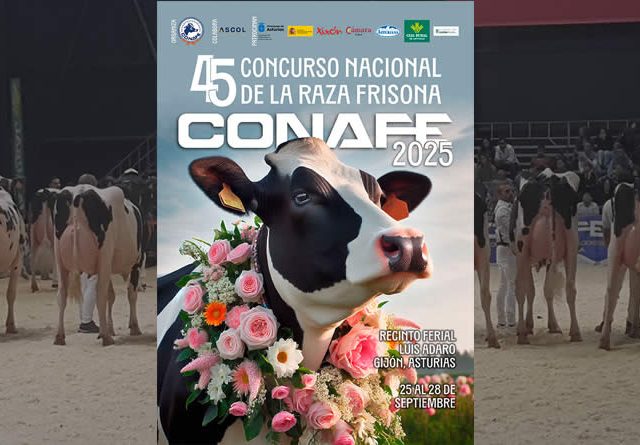 297 animales procedentes de 64 ganaderías, inscritos al 45º Concurso Nacional de la Raza Frisona CONAFE 2025
