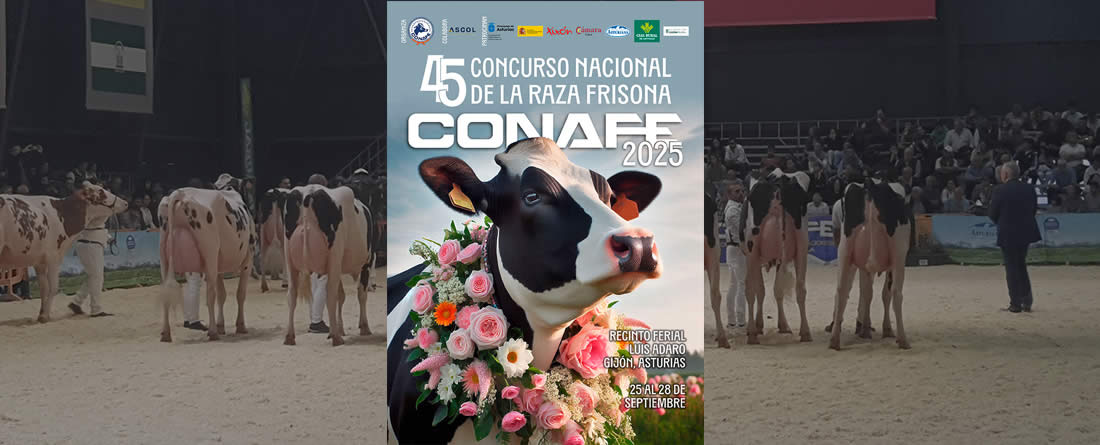 297 animales procedentes de 64 ganaderías, inscritos al 45º Concurso Nacional de la Raza Frisona CONAFE 2025