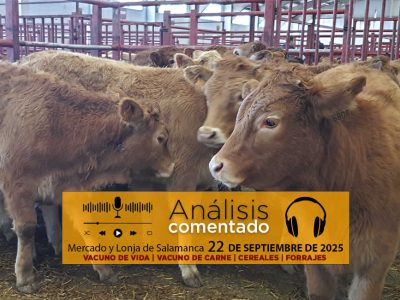 Análisis de la lonja y mercado de ganado de Salamanca 22 de septiembre de 2025