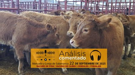 Análisis de la lonja y mercado de ganado de Salamanca 22 de septiembre de 2025
