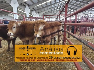 Análisis de la lonja y mercado de ganado de Salamanca 29 de septiembre de 2025