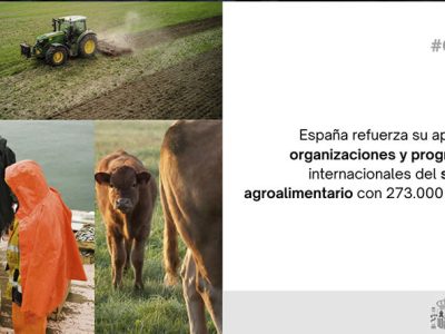 Apoyo a organizaciones y programas internacionales del sector agroalimentario