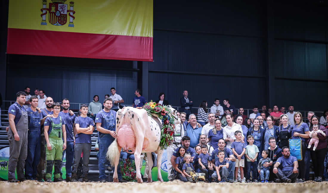 Venturo Happen Rosani (Casa Venturo) gana para Asturias el Concurso Nacional de Raza Frisona 2025