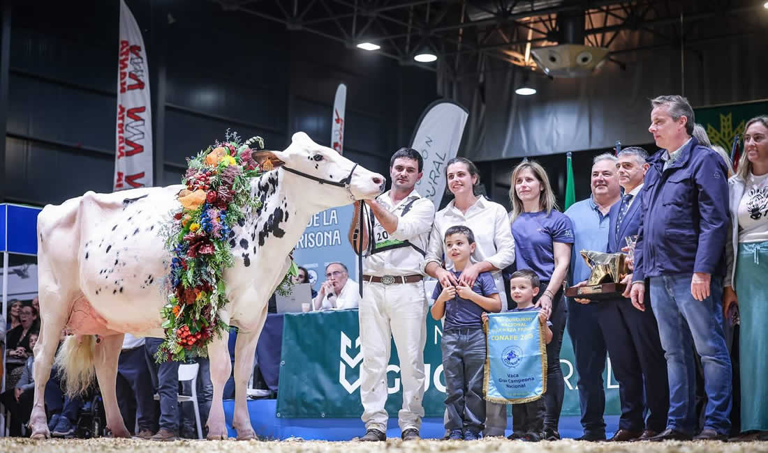 Venturo Happen Rosani (Casa Venturo) gana para Asturias el Concurso Nacional de Raza Frisona 2025