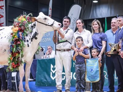 Venturo Happen Rosani (Casa Venturo) gana para Asturias el Concurso Nacional de Raza Frisona 2025