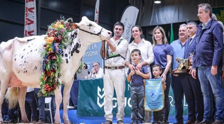 Venturo Happen Rosani (Casa Venturo) gana para Asturias el Concurso Nacional de Raza Frisona 2025