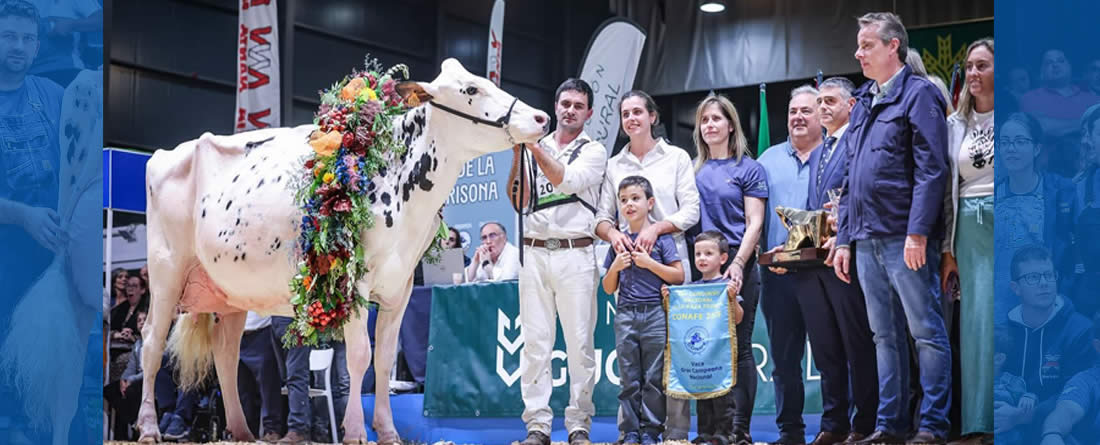 Venturo Happen Rosani (Casa Venturo) gana para Asturias el Concurso Nacional de Raza Frisona 2025