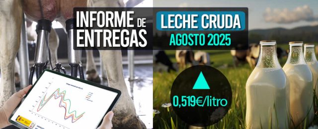 El precio medio de la leche cruda de agosto de 2025 sube a 0,519€/litro