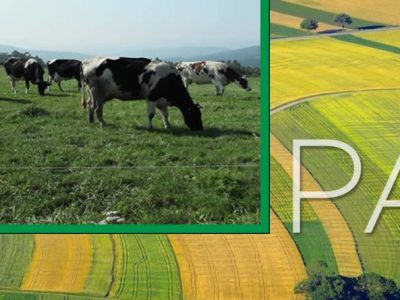 COAG advierte que los nuevos requisitos de la PAC aumentan las trabas y penalizan a la España agraria más vulnerable