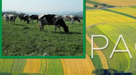 COAG advierte que los nuevos requisitos de la PAC aumentan las trabas y penalizan a la España agraria más vulnerable