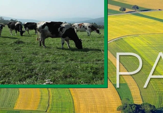 COAG advierte que los nuevos requisitos de la PAC aumentan las trabas y penalizan a la España agraria más vulnerable