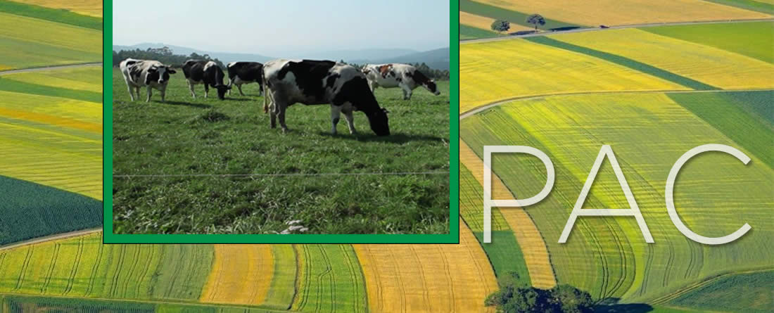 COAG advierte que los nuevos requisitos de la PAC aumentan las trabas y penalizan a la España agraria más vulnerable