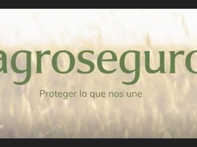 Agroseguro presenta su nueva identidad corporativa: una evolución que refleja cercanía, modernidad y rigor técnico