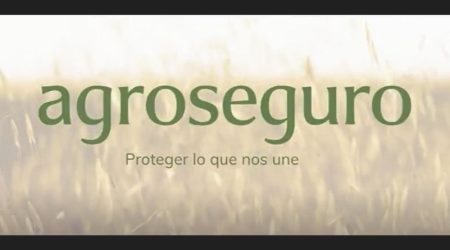 Agroseguro presenta su nueva identidad corporativa: una evolución que refleja cercanía, modernidad y rigor técnico