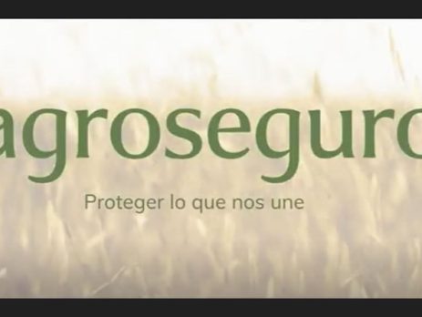 Agroseguro presenta su nueva identidad corporativa: una evolución que refleja cercanía, modernidad y rigor técnico