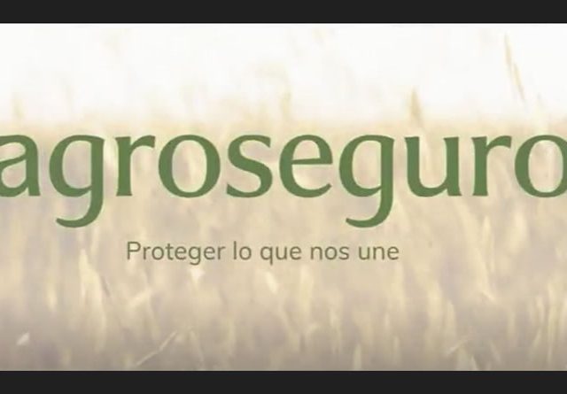 Agroseguro presenta su nueva identidad corporativa: una evolución que refleja cercanía, modernidad y rigor técnico
