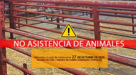 Análisis de la lonja y mercado de ganado vacuno de Salamanca 27 de octubre de 2025 por Dermatosis Nodular Contagiosa