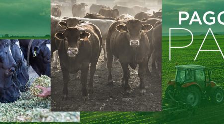 Ganaderos y agricultores percibirán 2.563 millones de euros en pagos anticipados de las ayudas directas de la PAC