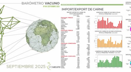PROVACUNO publica el Barómetro Vacuno para Septiembre 2025