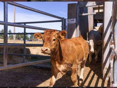 DEHESA GRANDE reduce un 76% el uso de combustibles fósiles y evita 50 toneladas de CO2 en 2025