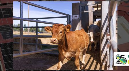 DEHESA GRANDE reduce un 76% el uso de combustibles fósiles y evita 50 toneladas de CO2 en 2025