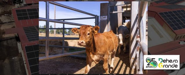 DEHESA GRANDE reduce un 76% el uso de combustibles fósiles y evita 50 toneladas de CO2 en 2025