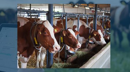 ECOGAN, la herramienta para las emisiones de vacuno, reconocida por la FAO