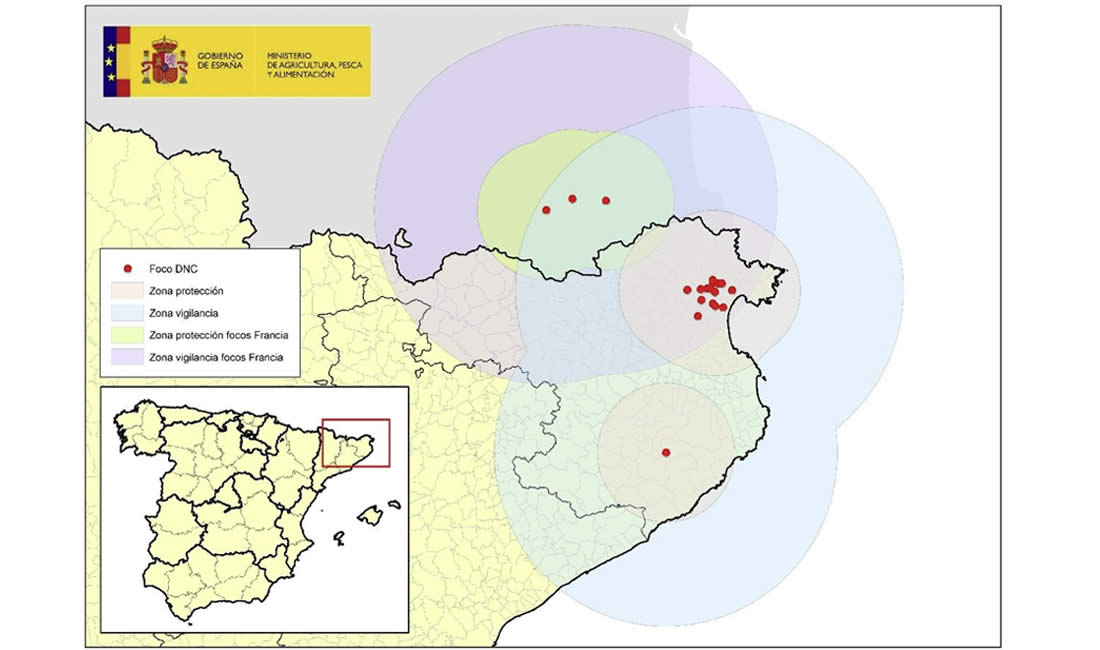 Suspensión de ferias y mercados e inmovilización y sacrificio de animales por la Dermatosis Nodular Contagiosa
