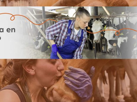 La selección genética en vacuno lechero reduce hasta un 12,9% las emisiones de metano por kg de leche, manteniendo la productividad y el bienestar animal.