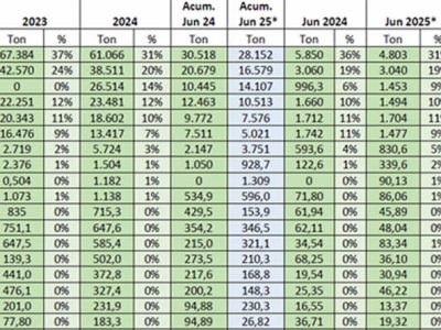 PROVACUNO publica su Informe de Comercio Exterior para JUNIO 2025