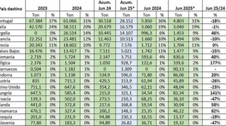 PROVACUNO publica su Informe de Comercio Exterior para JUNIO 2025