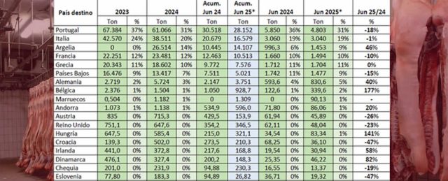 PROVACUNO publica su Informe de Comercio Exterior para JUNIO 2025