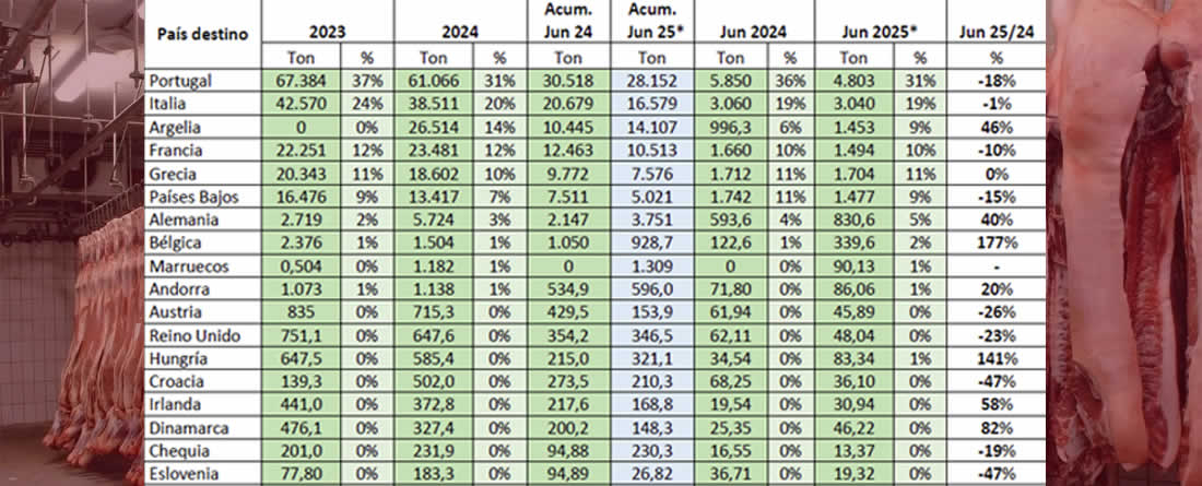 PROVACUNO publica su Informe de Comercio Exterior para JUNIO 2025