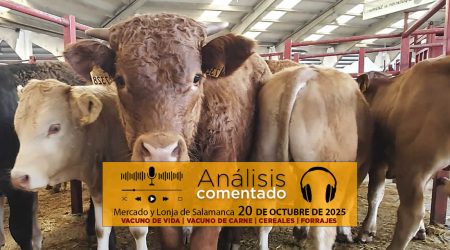 Análisis de la lonja y mercado de ganado vacuno de Salamanca 20 de octubre de 2025