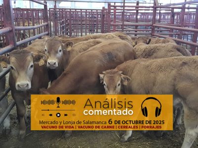 Análisis de la lonja y mercado de ganado de Salamanca 6 de octubre de 2025