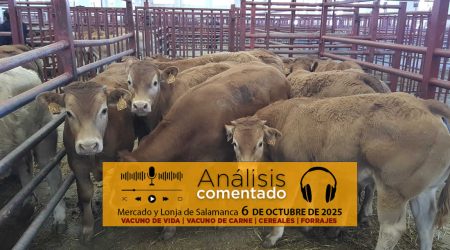 Análisis de la lonja y mercado de ganado de Salamanca 6 de octubre de 2025