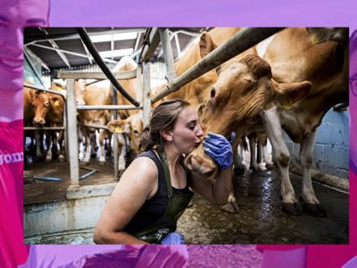 Los jóvenes europeos ya cuentan con una Estrategia para incorporarse a la agricultura y ganadería: UPA pide su desarrollo urgente