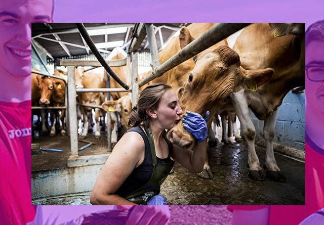 Los jóvenes europeos ya cuentan con una Estrategia para incorporarse a la agricultura y ganadería: UPA pide su desarrollo urgente