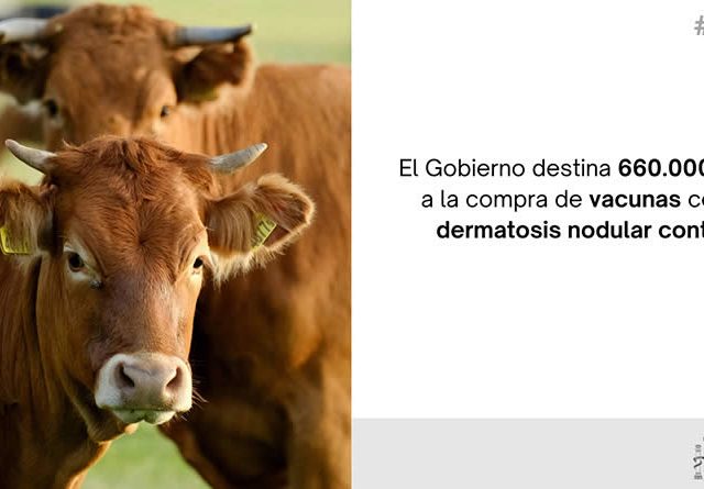 660.000 euros para la compra de vacunas contra la dermatosis nodular contagiosa