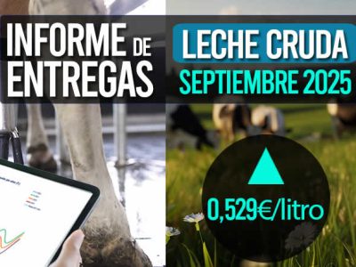 El precio medio de la leche cruda de vaca septiembre 2025 sube a 0,529€/litro