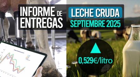 El precio medio de la leche cruda de vaca septiembre 2025 sube a 0,529€/litro