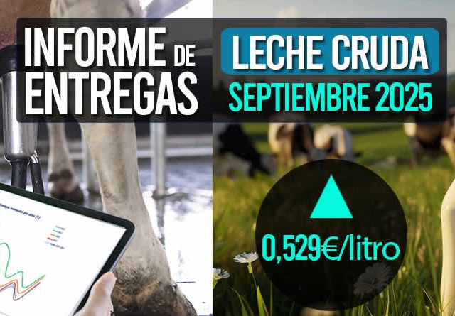 El precio medio de la leche cruda de vaca septiembre 2025 sube a 0,529€/litro