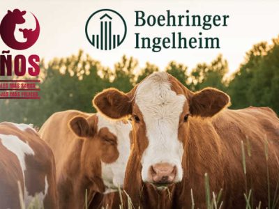 10 años de Bovela® - 33 millones de dosis aplicadas frente a la BVD