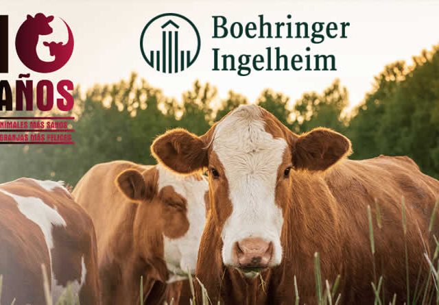 10 años de Bovela® - 33 millones de dosis aplicadas frente a la BVD