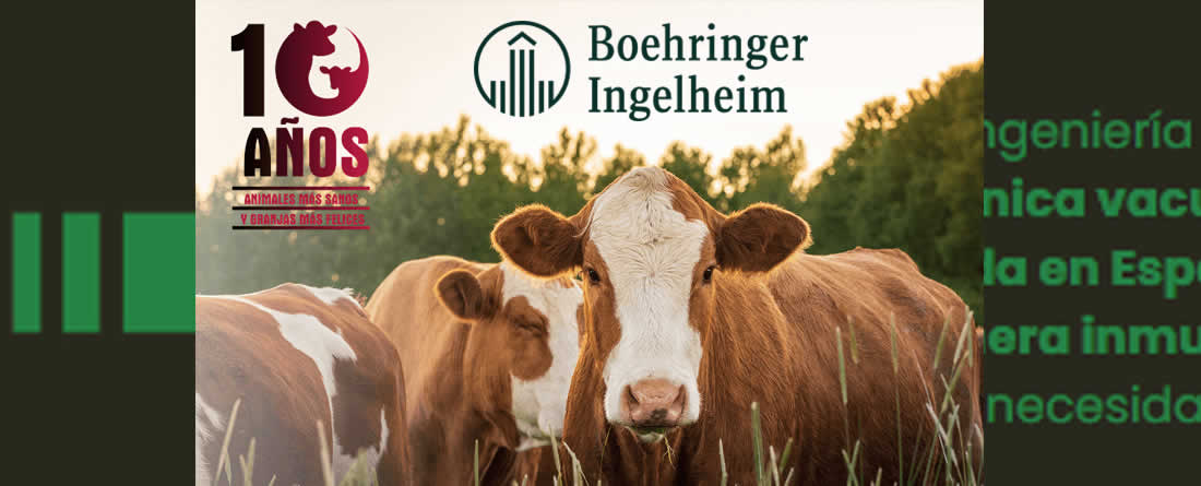 10 años de Bovela® - 33 millones de dosis aplicadas frente a la BVD